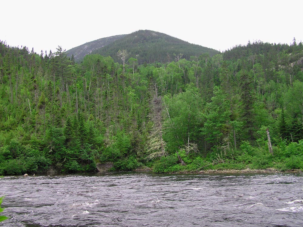 photo riviere malbaie parc hautes-gorges